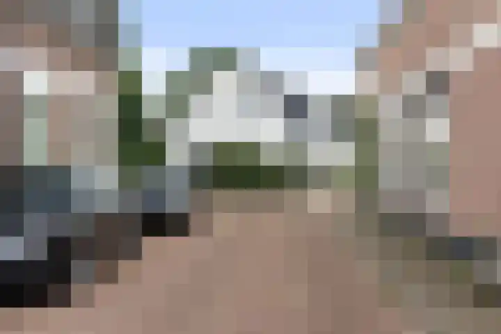 Loseweg 8 Apeldoorn thumbnail 31