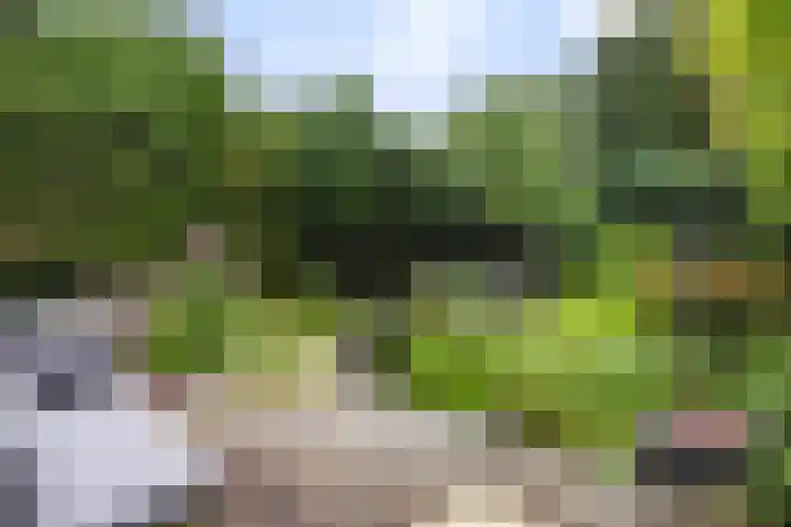 Loseweg 8 Apeldoorn thumbnail 4