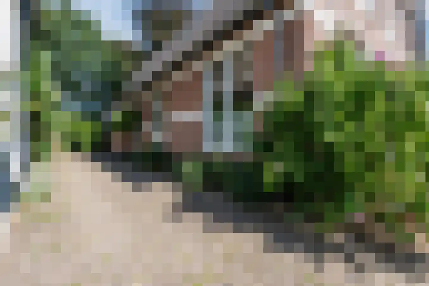 Loseweg 84 Apeldoorn thumbnail 14