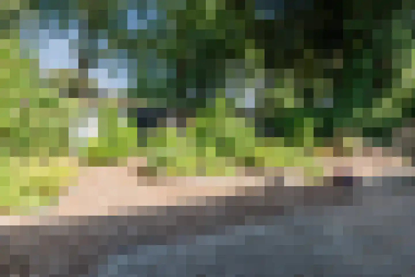 Loseweg 84 Apeldoorn thumbnail 70