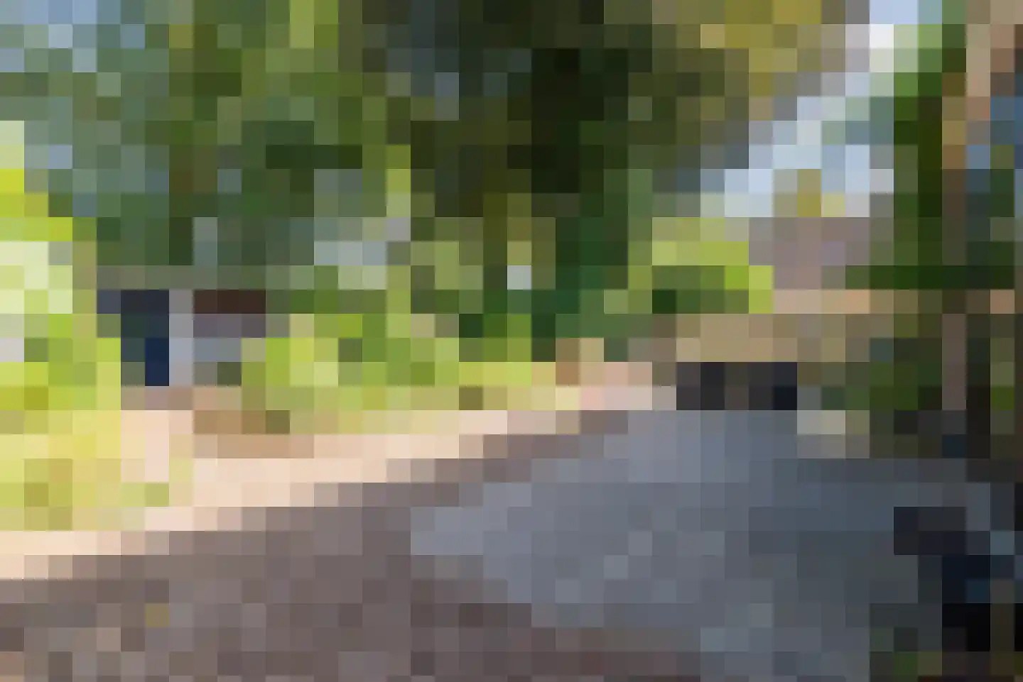 Loseweg 84 Apeldoorn thumbnail 73