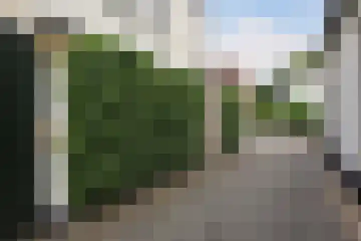 Loseweg 98 Apeldoorn thumbnail 31