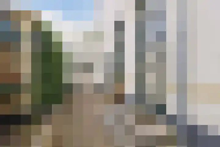 Loseweg 98 Apeldoorn thumbnail 4