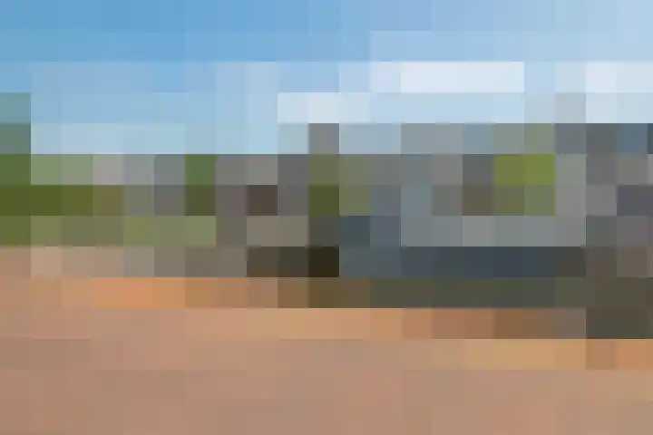 Loshaven 17 Hillegom thumbnail 31