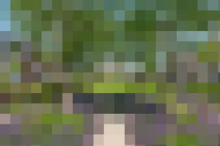 Loshaven 17 Hillegom thumbnail 34