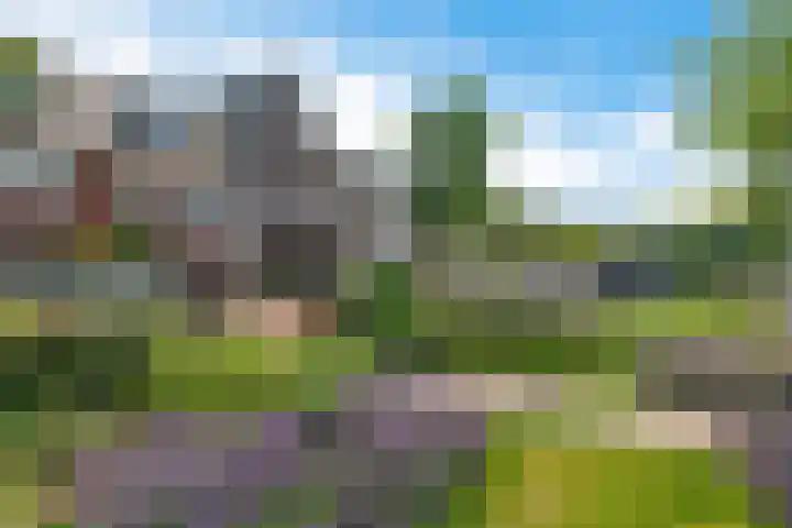 Loshaven 17 Hillegom thumbnail 41