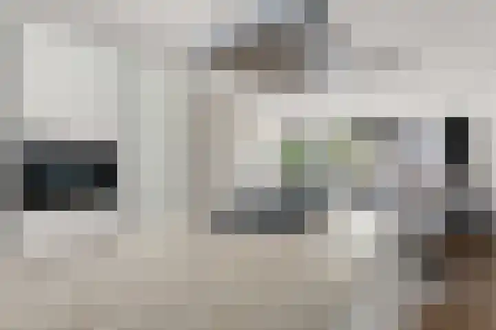 Loshaven 31 Hillegom thumbnail 10