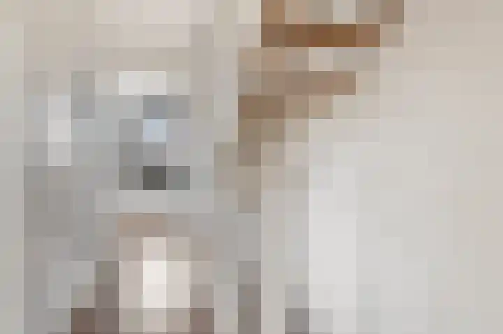 Loshaven 31 Hillegom thumbnail 14
