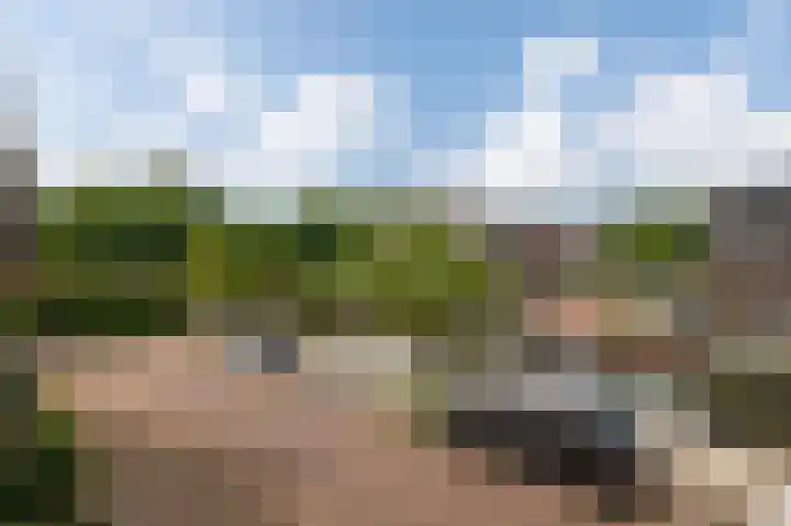 Loshaven 31 Hillegom thumbnail 28