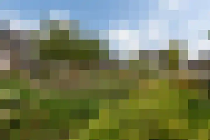 Loshaven 31 Hillegom thumbnail 39