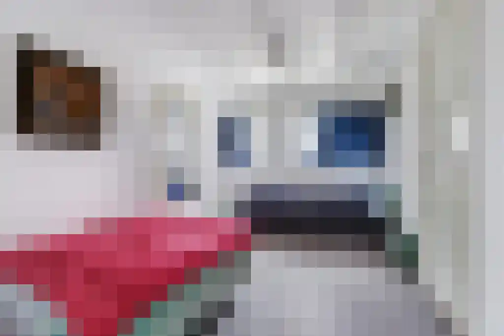 Loskade 17 Middelburg thumbnail 30