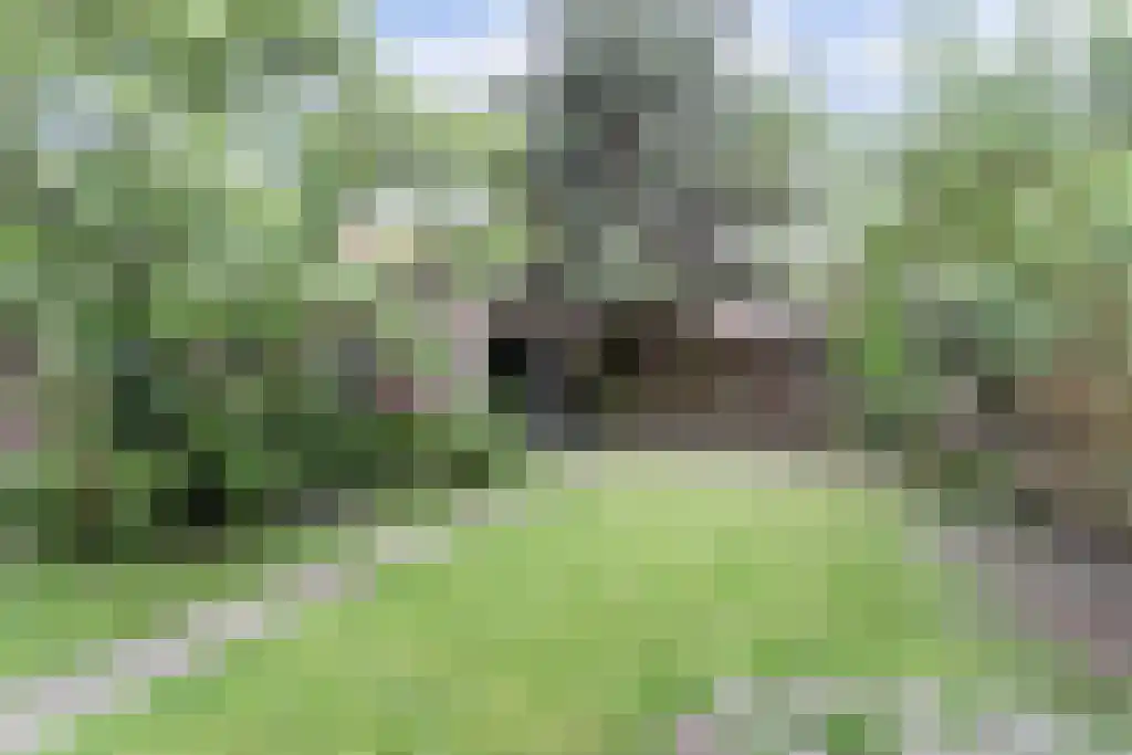 Loskade 17 Middelburg thumbnail 34