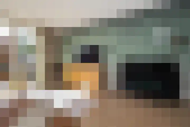 Losplaatskade 17 Noordwijk thumbnail 15