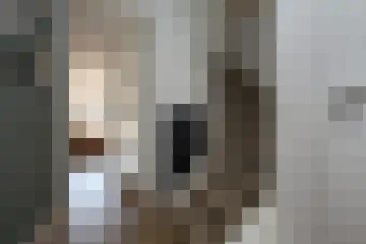 Losplaatskade 17 Noordwijk thumbnail 22