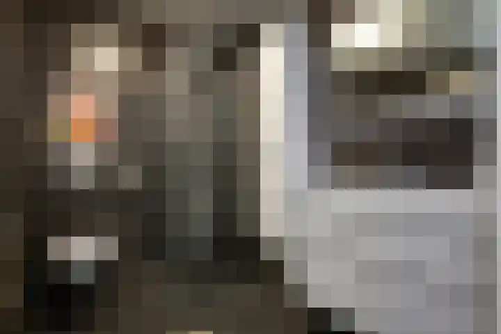 Losplaatskade 17 Noordwijk thumbnail 27