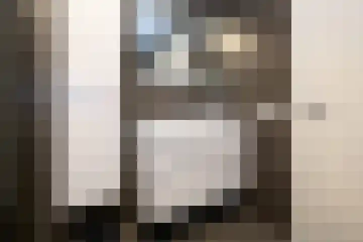 Losplaatskade 17 Noordwijk thumbnail 30