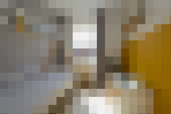 Losplaatskade 17 Noordwijk thumbnail 36