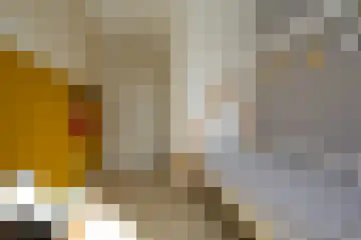 Losplaatskade 17 Noordwijk thumbnail 37