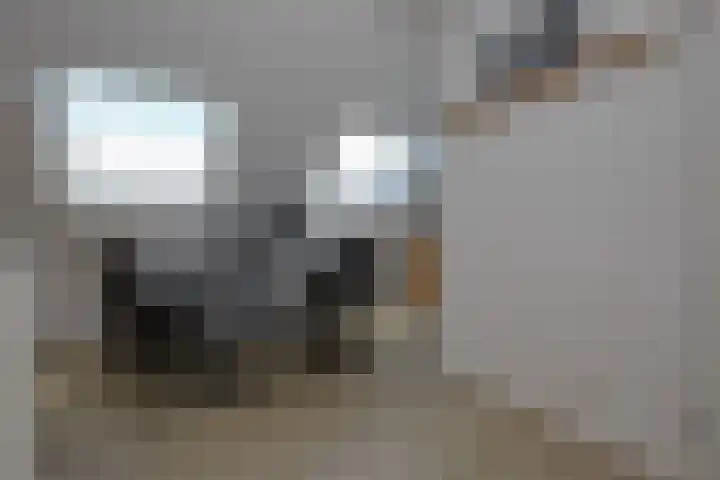 Losplaatskade 17 Noordwijk thumbnail 39