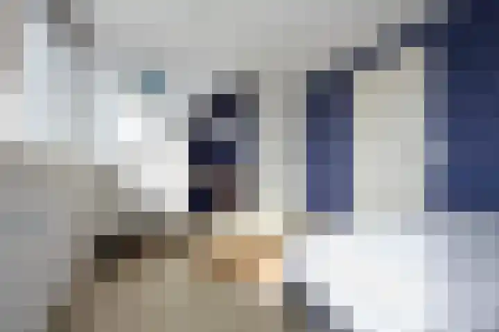 Losplaatskade 17 Noordwijk thumbnail 45