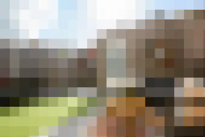Losplaatskade 17 Noordwijk thumbnail 51