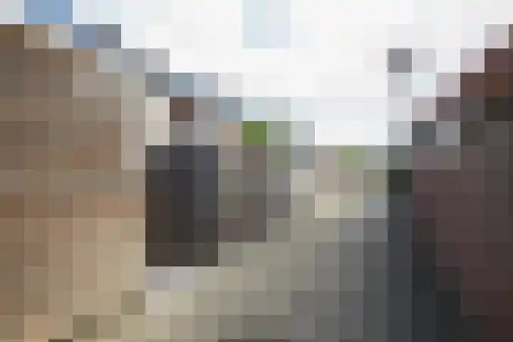 Losplaatskade 17 Noordwijk thumbnail 52