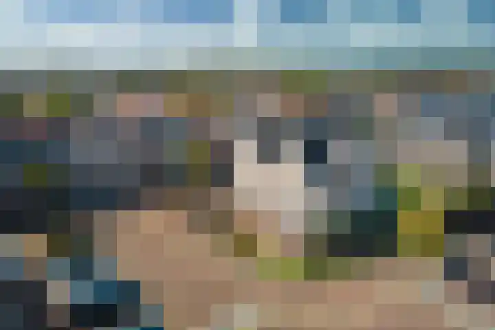 Losplaatskade 17 Noordwijk thumbnail 6