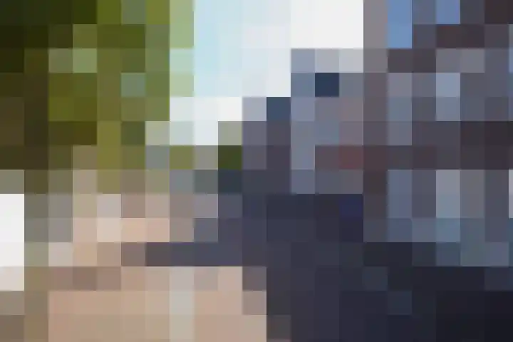 Losplaatskade 17 Noordwijk thumbnail 8