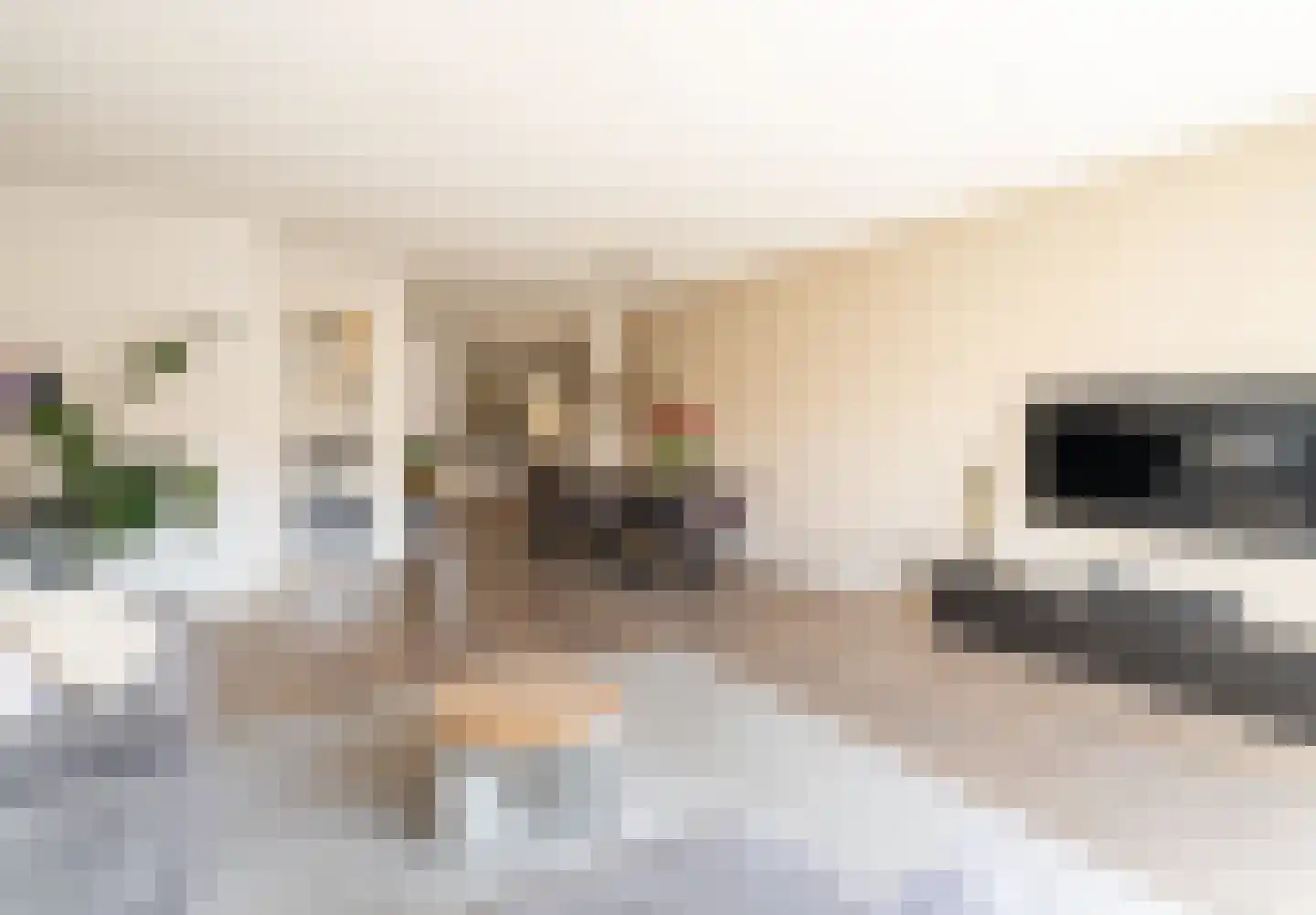 Losplaatskade 41 Noordwijk thumbnail 6