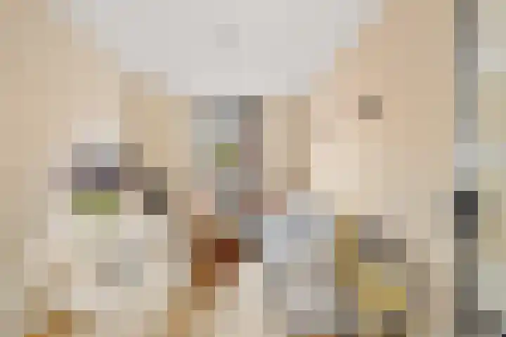 Losplaatskade 43 Noordwijk thumbnail 12