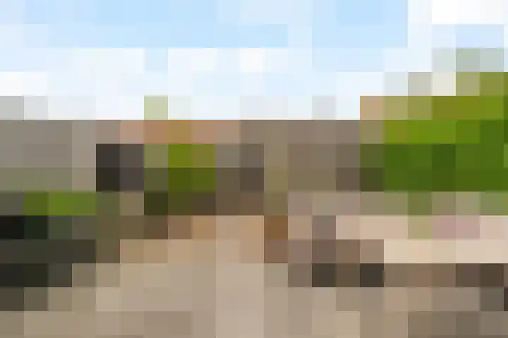 Losplaatskade 43 Noordwijk thumbnail 13