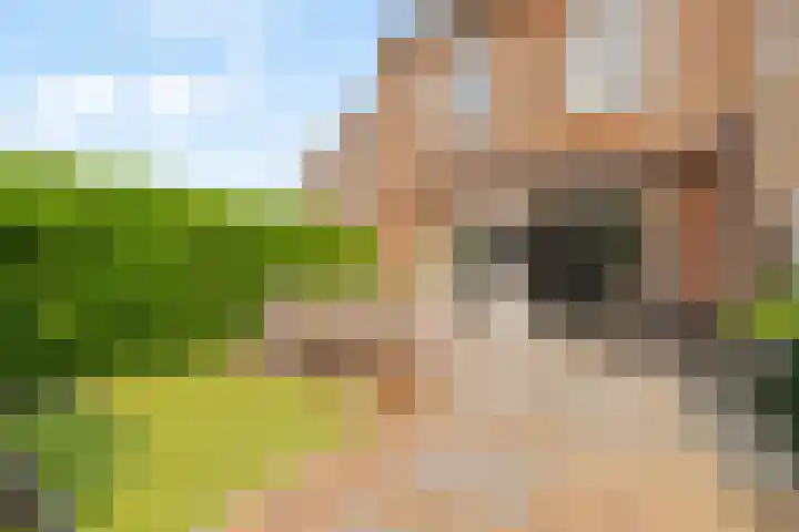 Losplaatskade 43 Noordwijk thumbnail 14