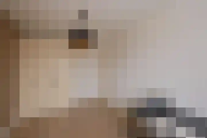 Losplaatskade 43 Noordwijk thumbnail 25