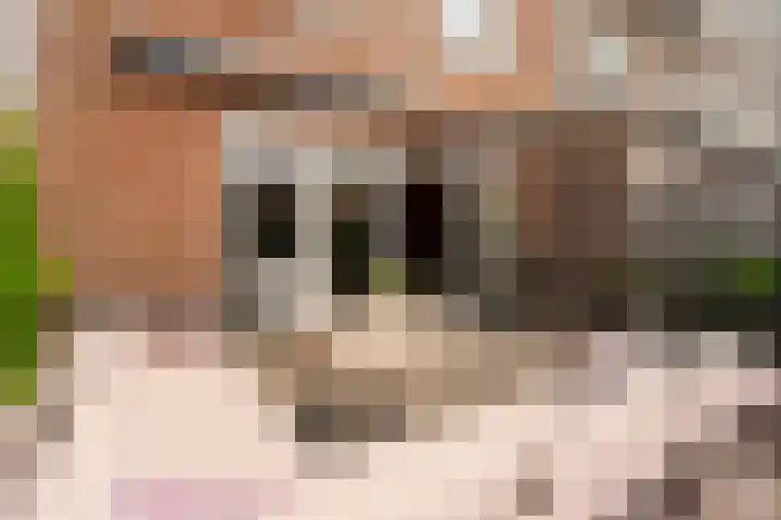 Losplaatskade 43 Noordwijk thumbnail 32