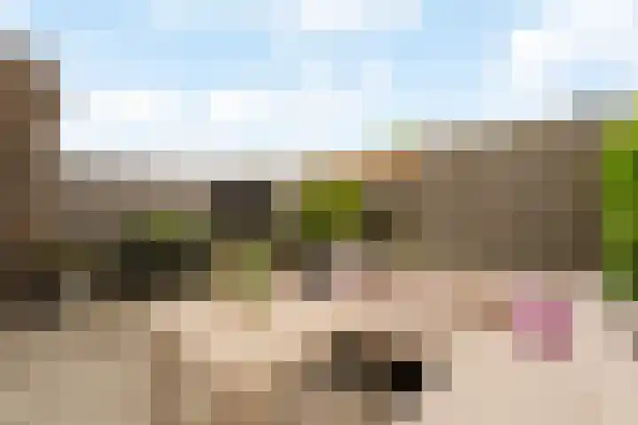 Losplaatskade 43 Noordwijk thumbnail 33