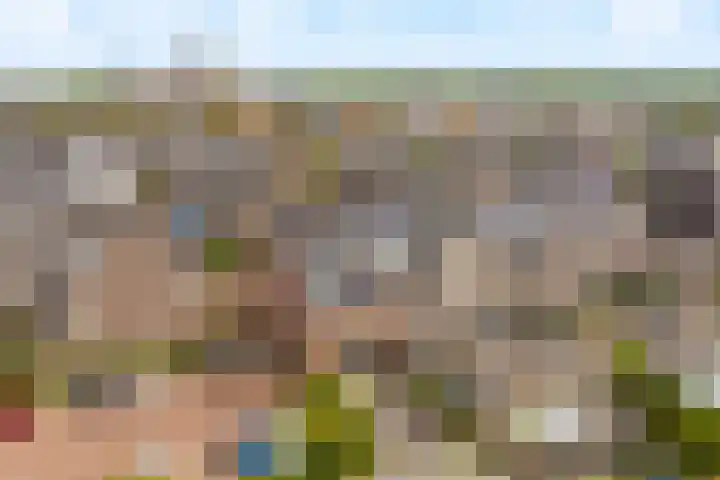 Losplaatskade 43 Noordwijk thumbnail 35