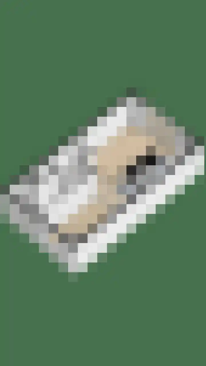 Losplaatskade 43 Noordwijk thumbnail 43