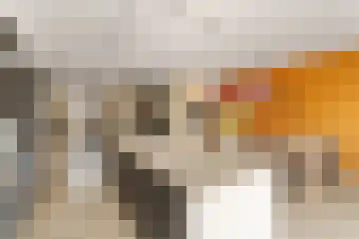 Losplaatskade 43 Noordwijk thumbnail 7
