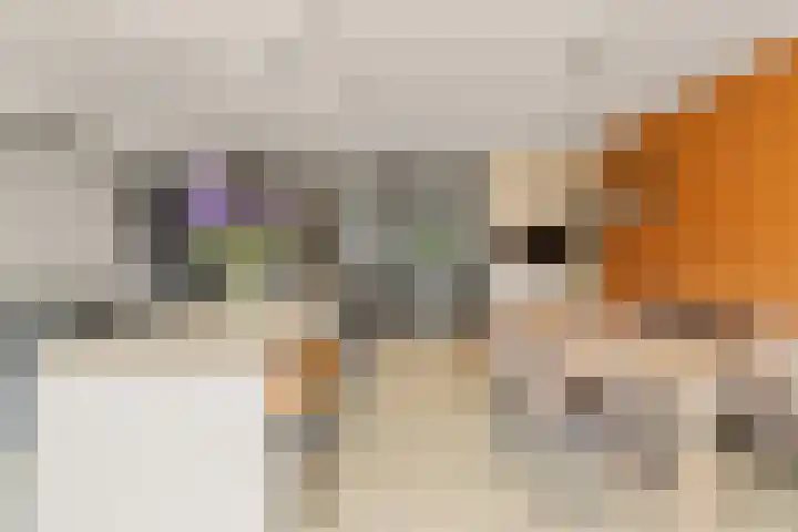 Losplaatskade 43 Noordwijk thumbnail 8