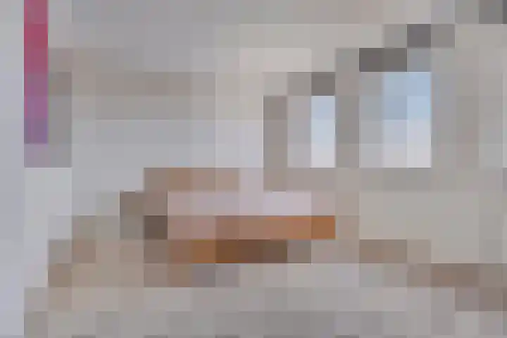 Losplaatsweg 18 A Noordwijk thumbnail 19