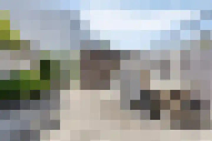 Losplaatsweg 18 A Noordwijk thumbnail 33