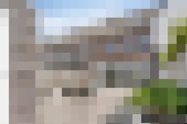 Losplaatsweg 18 A Noordwijk thumbnail 34