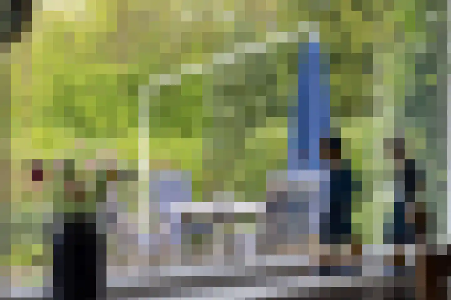 Lossersedijk 3 de Lutte thumbnail 10