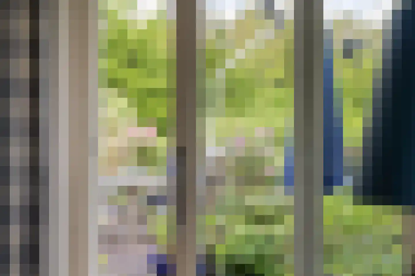 Lossersedijk 3 de Lutte thumbnail 16