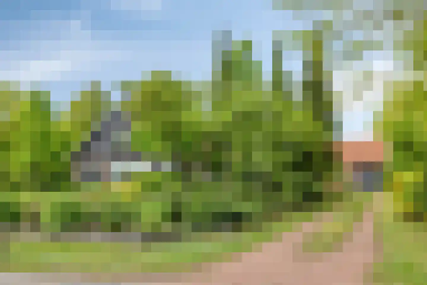 Lossersedijk 3 de Lutte foto 2