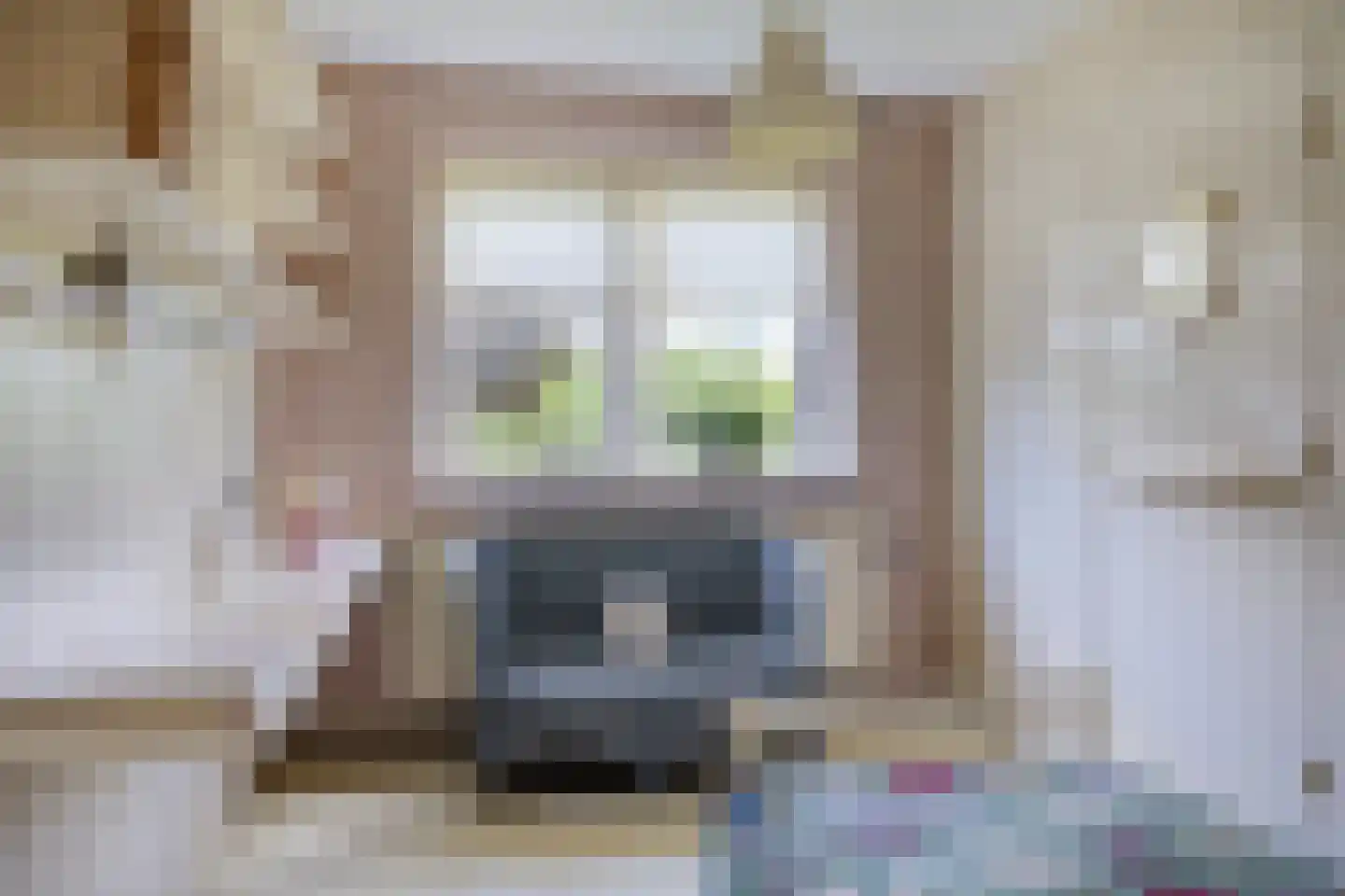 Lossersedijk 3 de Lutte thumbnail 23
