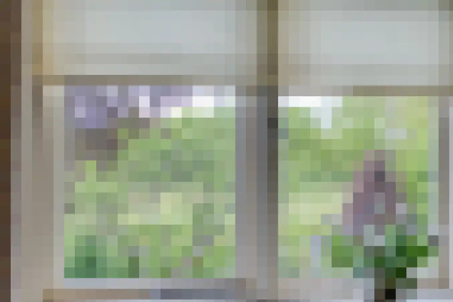 Lossersedijk 3 de Lutte thumbnail 24