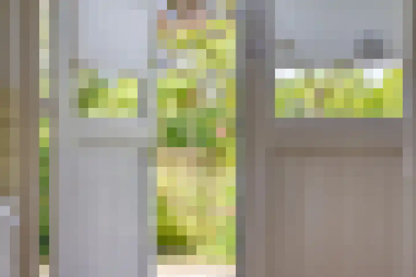 Lossersedijk 3 de Lutte thumbnail 28