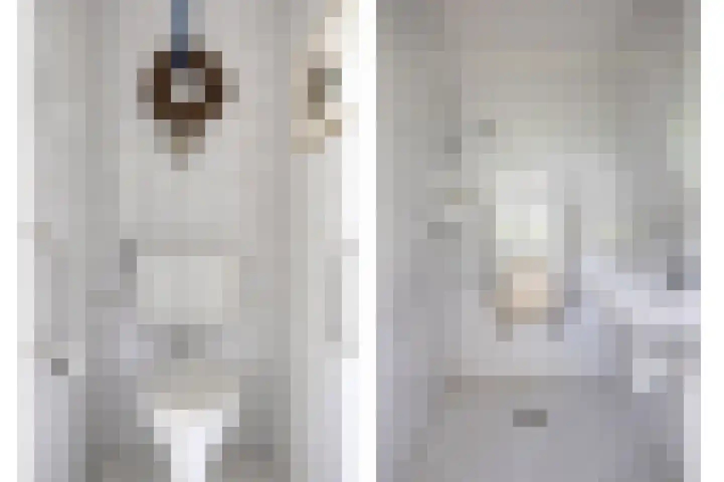 Lossersedijk 3 de Lutte thumbnail 30
