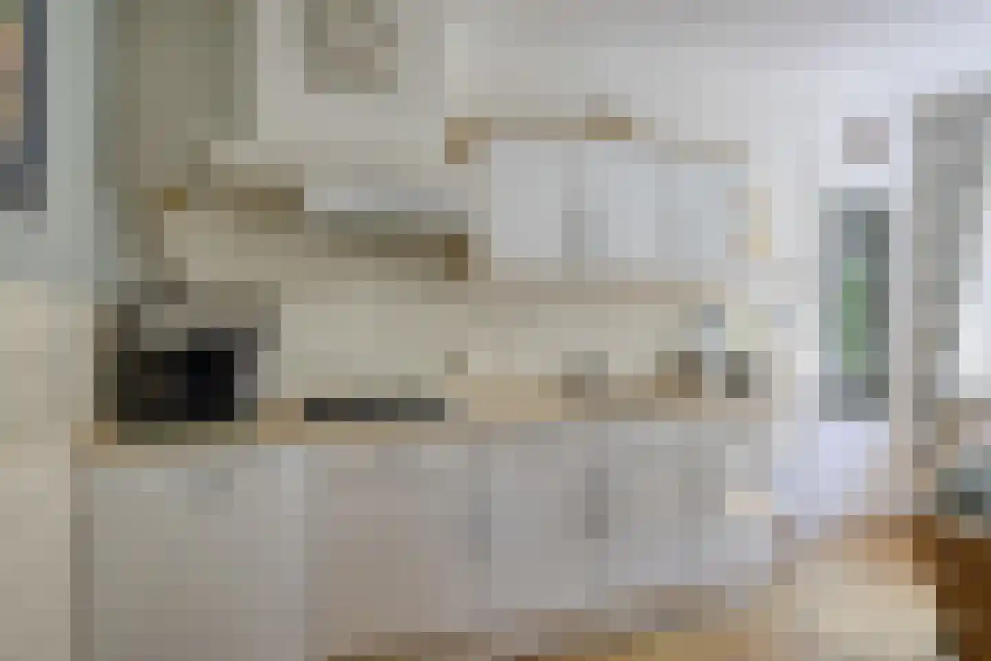 Lossersedijk 3 de Lutte thumbnail 32